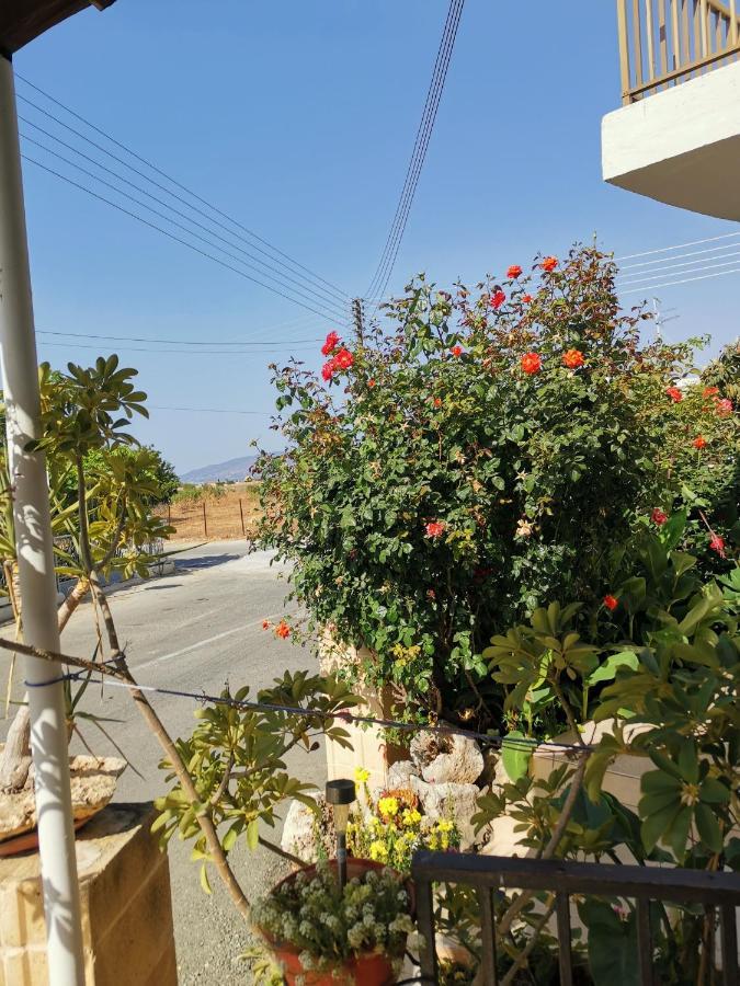 Apartamento Hamboula Polis Exterior foto