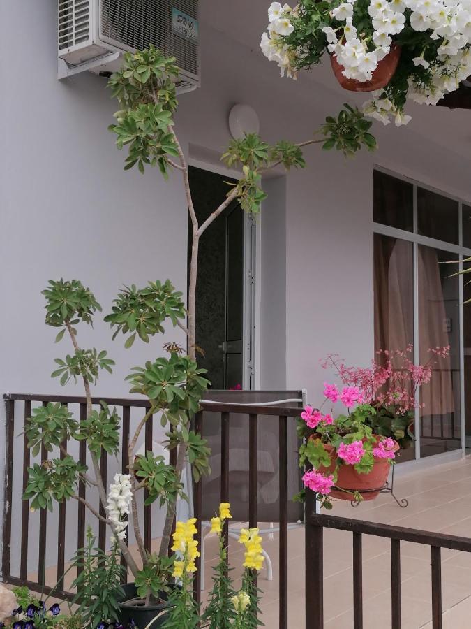 Apartamento Hamboula Polis Exterior foto